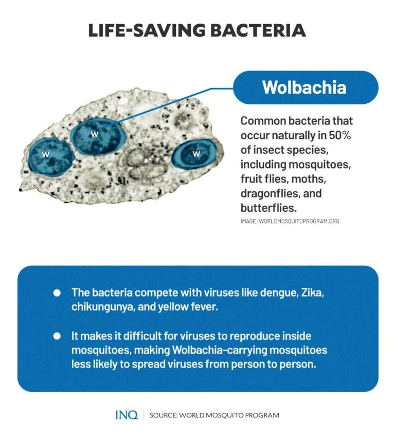 life saving bacteria x