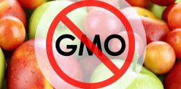 Viewpoint: GMO and gene edited agricultural solutions will never gain traction if journalists continue to carry water for anti-biotechnology disinformation