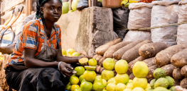 GM seeds likely to be in the hands of Ghanaian farmers by next year, scientists say