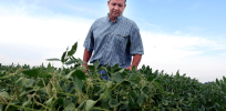 Monsanto and BASF held liable for farmers who misused older formulations of dicamba, resulting in drift and extensive crop damage