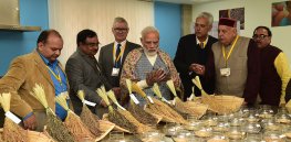 Viewpoint: What’s on the line as India ponders the future of biotechnology and agriculture?