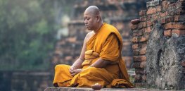 Are there evolutionary benefits to celibacy?