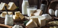Lactose tolerance: Early humans couldn’t easily process milk and cheese. How, why and when did that change?