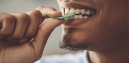 How chewing may have shaped human evolution