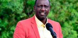 GM crops likely to get a lift in Kenya with Ruto as President