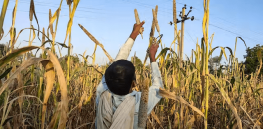 ‘Without major changes to agriculture, government targets for mitigating climate change are at risk’, scientists warn