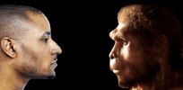 Differences between human and Neanderthal brains are minimal — so why are we so much smarter?