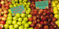 Viewpoint: GM vs organic crops — How to feed the world without destroying it