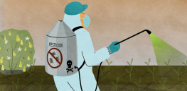 Viewpoint: 'Pesticide treadmill'? — Latest research challenges activist meme, shows pairing GM crops with pesticides yields environmental benefits