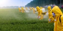 Viewpoint: How anti-crop chemical activists are weaponizing the Endangered Species Act to block use of safe and effective pesticides