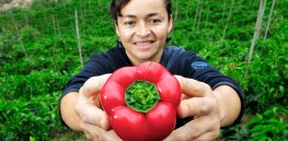 Viewpoint: ‘We need to reduce imports’ — Colombian food security proponents urge expanding GMO crops to reach food sovereignity goal