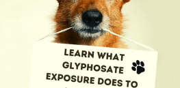 Viewpoint: OMG, humans might suffer convulsions from consuming parts-per-trillion of glyphosate? Here's how wild headlines advance the ideological agenda of science-rejecting advocacy groups