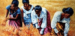 Viewpoint: ‘Deadly consequences’ — Sri Lanka needs to replace disastrous ‘100% organic’ method with evidence-based sustainable agricultural plan