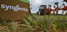 China’s Syngenta pushes the edge: Can technology-driven agriculture promote a new view of sustainable farming to a world still wary of biotechnology?