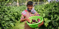 Bangladesh looks to agricultural technologies to address climate change impacts and food insecurity