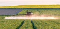 Viewpoint: Synthetic fertilizers in ideological crosshairs — Trade-offs between crop productivity and the environment