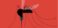 mosquito attracted to carbon dioxide