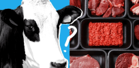 Who benefits from cell-grown meat? Livestock advocate questions wisdom of Biden’s pro-biotech executive order