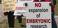 Part II: Science and the courts clash over different views about human life and on what limits should be set on human embryo laboratory research