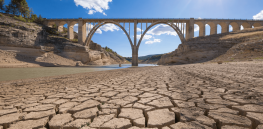 Viewpoint: With Europe suffering unprecedented drought, EU politicians are seriously debating the use of sustainable, drought-tolerant, low-insecticide use genetically modified crops