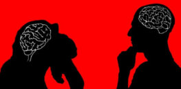 Is human intelligence an evolutionary dead end?