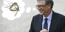 TikTok fact check: No, malaria-fighting GMO mosquitoes released in Florida are not a vector for ‘Bill Gates’ next planned pandemic’