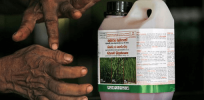 Sri Lanka poised to lift glyphosate ban that contributed to country’s food production crisis