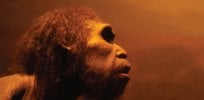 genetic mutation alters the cognition of early humans