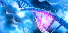 Should we use CRISPR gene editing to remake humanity?