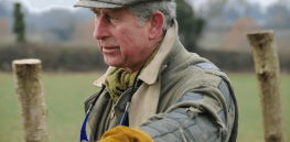 Viewpoint: ‘He overlooks complexity' — Will King Charles promote his cult organic farming views and reject agricultural biotechnology?