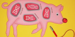Analysis: 'We can sequence an animal's entire genome' — How advanced biotechnology could dramatically improve meat production
