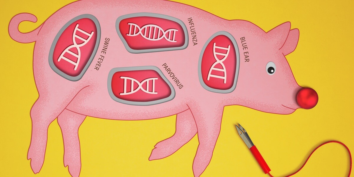 Image showcasing Analysis: 'We can sequence an animal's entire genome' — How advanced ...
