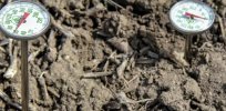 ‘Canary in the coal mine for agriculture’: Simple soil temperature test can predict and prevent spread of corn-ravaging worms without pesticides