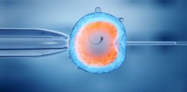 Seeking a fertility treatment? With eggs and sperm now storable for half a century, here’s what you should know.