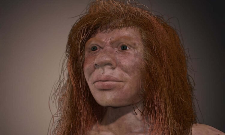 Neanderthal girl Denny
