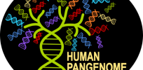 Diversity, inclusion and the Human Pangenome Project: Why capturing human genome diversity in our 4-letter language is such a big deal