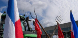 Viewpoint: Farmer protests in Europe challenges misguided restrictions on biotechnology innovation