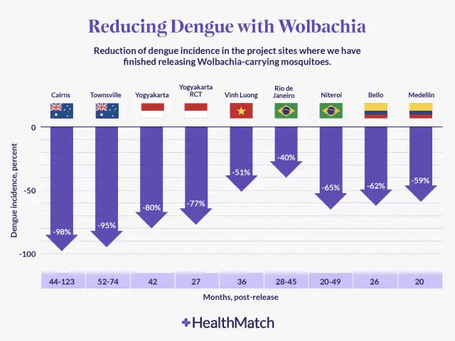 reducing dengue with wolbachia