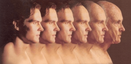 aging process and environmental factors