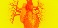 High blood pressure medication only works for 1 in 4 people. Genetics may help explain why