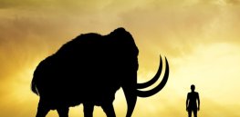 Using genetics to bring the Wooly Mammoth from extinction.