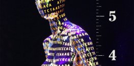 genome height