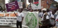 Viewpoint: 10 claims by anti-GMO African campaigners on why crop biotechnology advances should be rejected – and why they are wrong