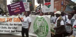 Viewpoint: 10 claims by anti-GMO African campaigners on why crop biotechnology advances should be rejected – and why they are wrong