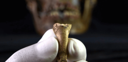Ancient exchange of ideas: Modern humans and Neanderthals shared designs for jewelry and stone tools