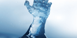 Life on Earth stems from water