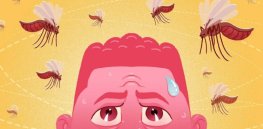 Why some people are mosquitoes more so than others?