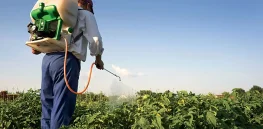 Viewpoint: Should Europe stop using pesticides? This binary, all-or-nothing thinking misrepresents the benefits of crop protection chemicals