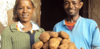 Blight resistant gene-edited potatoes now third genetically-enhanced crop approved in once anti-biotech Ethiopia