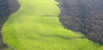 Benefits of increasing yields in the Amazon rainforest: Nature Sustainability study concludes ‘agricultural intensification’ could cut Brazil's climate warming by 58%